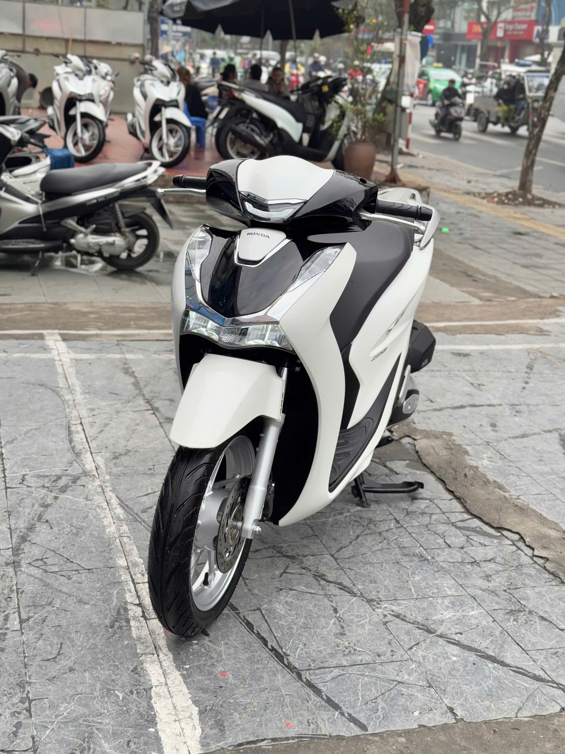 Sh125abs 2024 trắng